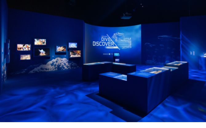 Into the Ocean: Journey Beneath Across 6 Zones At ArtScience Museum 3 Zone 3: Photic Zone