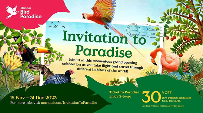 Invitation to Paradise: Year-end 2023 Activities and Promotion at Mandai Bird Paradise