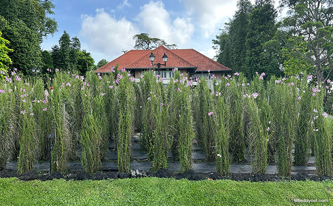Istana Open House Guide: 14+ Things To See & Do 7 Vanda Miss Joaquim Grove