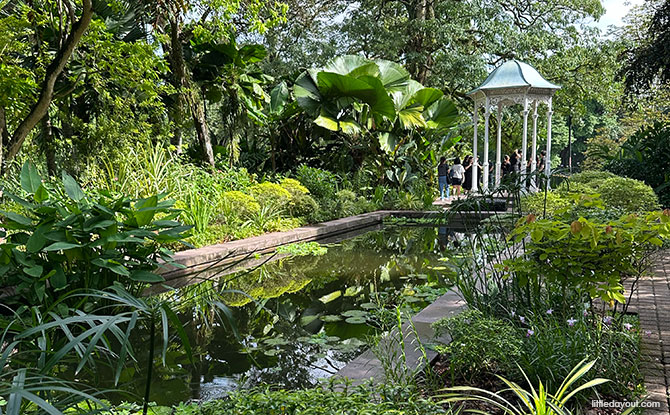 Istana Open House Guide: 14+ Things To See & Do 10 Lily Pond Garden