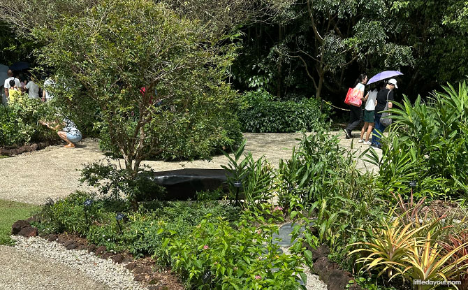 Istana Open House Guide: 14+ Things To See & Do 12 Inclusive Garden