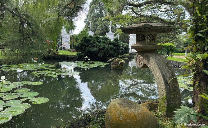 Istana Open House Guide: 14+ Things To See & Do 5 Japanese Garden