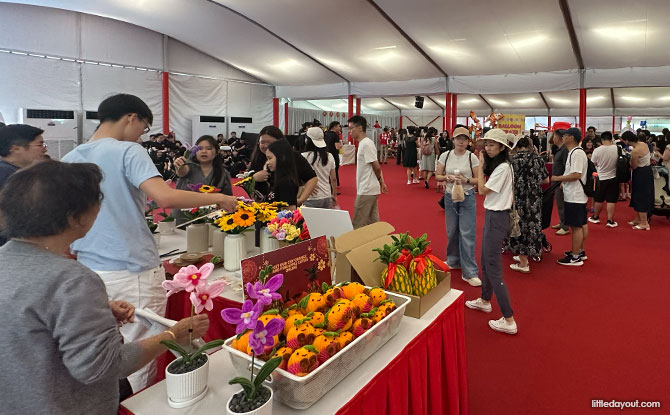 25 Best Free Things To Do In Singapore With Kids 20 Supporting the President's Challenge