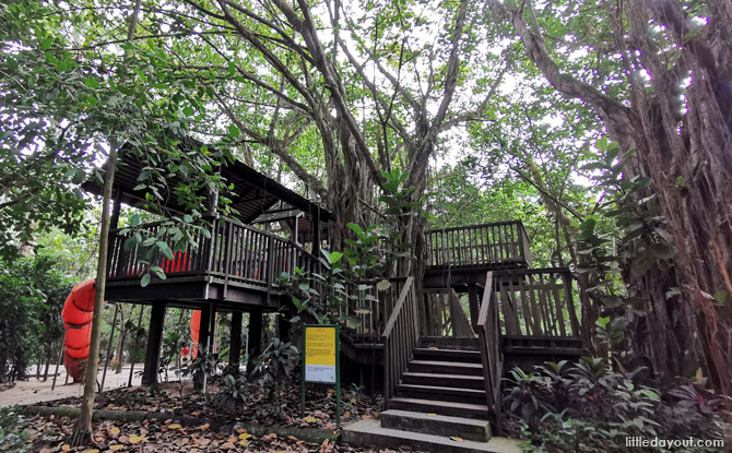 jacob ballas treehouse