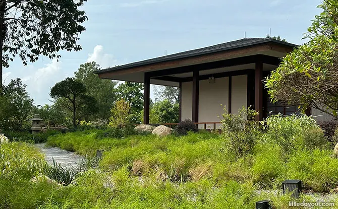 Japanese Garden: Where Tranquility Awaits With Water Lilies, Sunken Garden At Jurong Lake Gardens