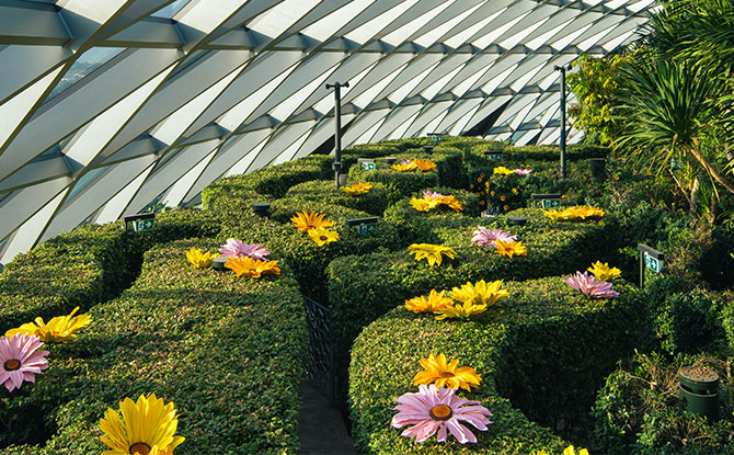 Jewel Blooms: Floral Displays At Canopy Park