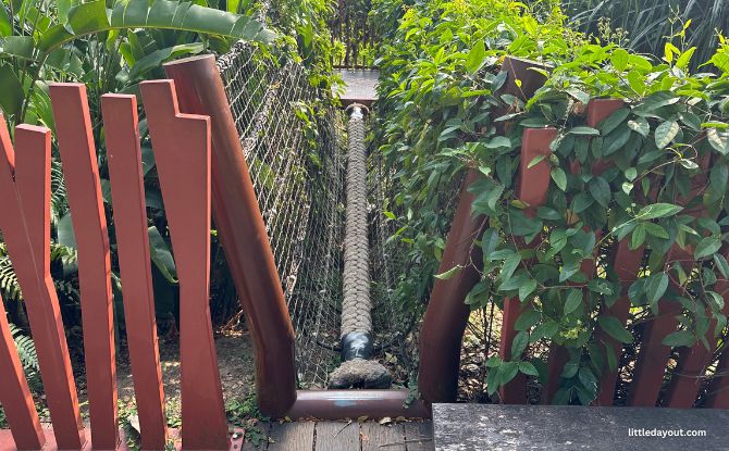 Jubilee Park: Nature & Play At The Fort Canning Park Playground 9 little rope bridge