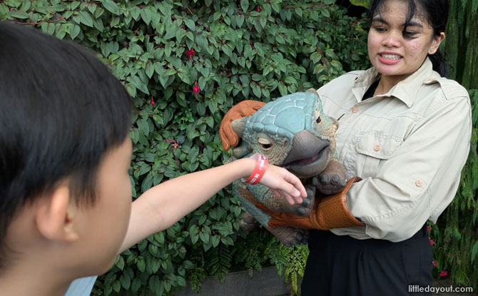 come face to face with baby dinosaurs in the Petting Zoo area