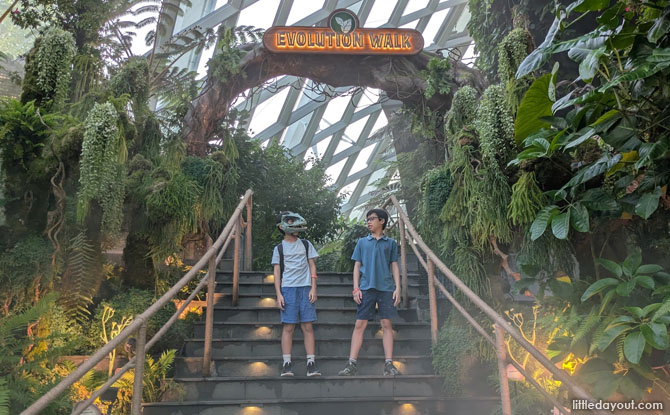 Evolution walk: Exclusive to Cloud Forest