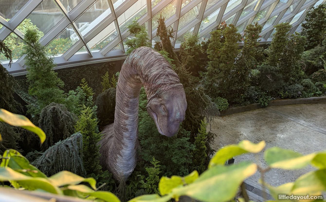 Brachiosaurus Encounter