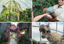 Jurassic World: The Experience At Gardens By The Bay – 5 Dino-mite Highlights At The Cloud Forest From 29 May 2025