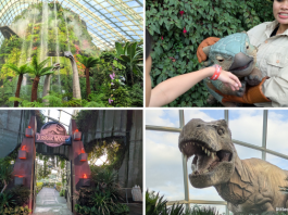Jurassic World: The Experience At Gardens By The Bay – 5 Dino-mite Highlights At The Cloud Forest From 29 May 2025