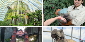 Jurassic World: The Experience At Gardens By The Bay – 5 Dino-mite Highlights At The Cloud Forest From 29 May 2025