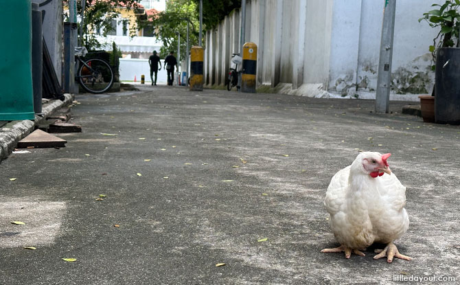 Kampong Glam is a special place in Singapore