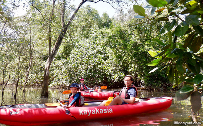 Get Your Vitamin Sea Together as Family on a Kayak Adventure