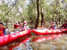 Family-friendly Kayaking in Singapore: 14 Places To Paddle Away To Fun On The Water