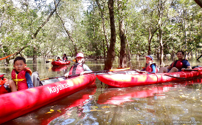 Family-friendly Kayaking in Singapore: 14 Places To Paddle Away To Fun On The Water