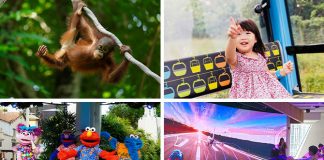 10+ Singapore Attractions Where Young Kids Enter Free