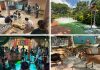 KidzWorld: Singapore Zoo’s New Children’s Play Area With Petting Zoo & Home Of The Ranger Buddies Kidzworld: Singapore Zoo's New Children's Play Area With Petting Zoo & Home Of The Ranger Buddies