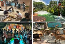 KidzWorld: Singapore Zoo’s New Children’s Play Area With Petting Zoo & Home Of The Ranger Buddies Kidzworld: Singapore Zoo's New Children's Play Area With Petting Zoo & Home Of The Ranger Buddies