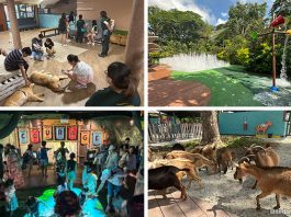 Kidzworld: Singapore Zoo's New Children's Play Area With Petting Zoo & Home Of The Ranger Buddies