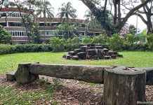 Kim Pong Park: Open Space, Swings & Nature Playgarden Kim Pong Park Nature Playgarden