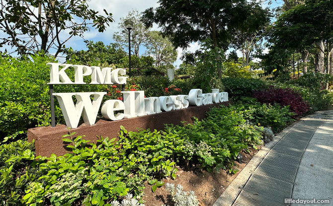 KPMG Wellness Garden