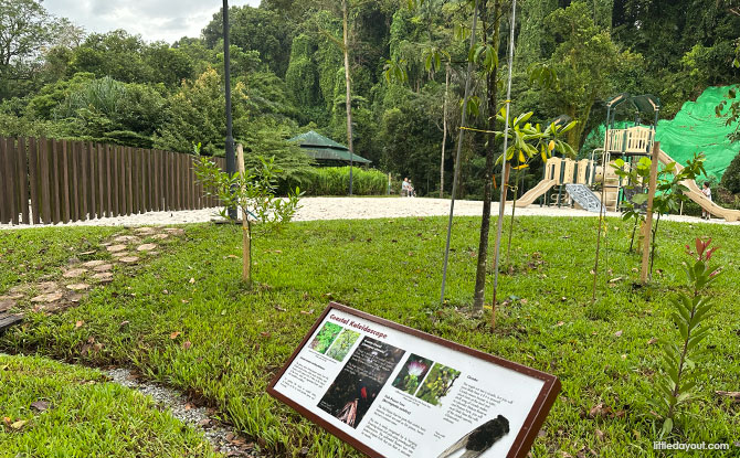 Labrador Nature Park playgrounds next to Keppel Coastal Trail