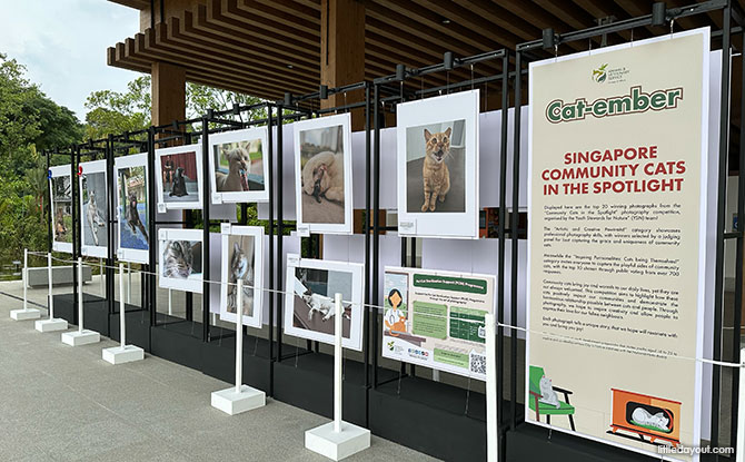Photo Showcase, Astronomy Open House & NHB Exhibition (Water Lily Pavilion)