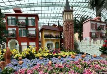Venice at the Flower Dome