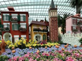 Venice at the Flower Dome