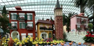 Venice at the Flower Dome