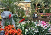 Lilytopia At Gardens By The Bay: First Ancient Egypt-Themed Floral Display With More Than 7,000 Plants Lilytopia At Gardens By The Bay: First Ancient Egypt-Themed Floral Display With More Than 7,000 Plants