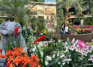 Lilytopia At Gardens By The Bay: First Ancient Egypt-Themed Floral Display With More Than 7,000 Plants Lilytopia At Gardens By The Bay: First Ancient Egypt-Themed Floral Display With More Than 7,000 Plants