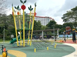 5 Reasons To Visit Limbang Park At Choa Chu Kang For Sports And Recreation