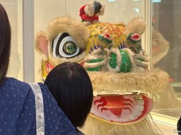 Tradition In Motion: Singapore's Lion Dance Heritage Exhibition At SCCC