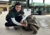 The Live Turtle Museum: Close Encounters With Turtles & Tortoises The Live Turtle Museum: Close Encounters With Turtles & Tortoises