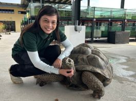 The Live Turtle Museum: Close Encounters With Turtles & Tortoises