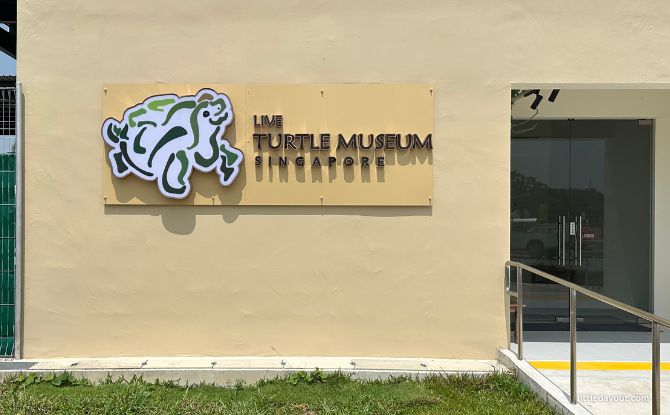 The Live Turtle Museum: Close Encounters With Turtles & Tortoises 13 Live Turtle Museum at 11 Chencharu Close, Singapore 769287