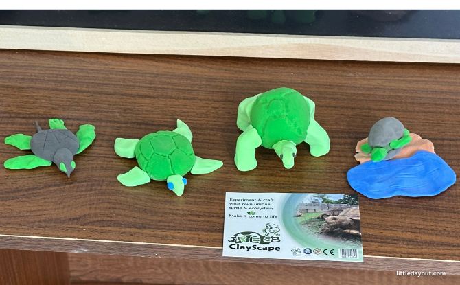 The Live Turtle Museum: Close Encounters With Turtles & Tortoises 11 modelling clay