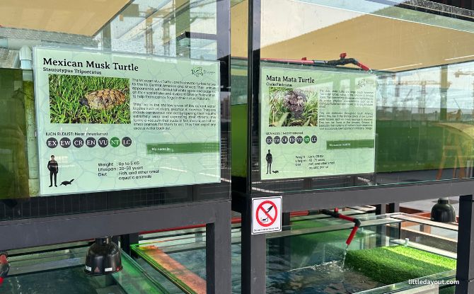 The Live Turtle Museum: Close Encounters With Turtles & Tortoises 3 Information panels