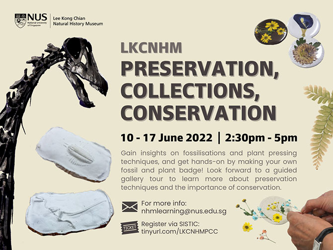 Lee Kong Chian Natural History Museum Workshop on Conservation, Collections, Conservation
