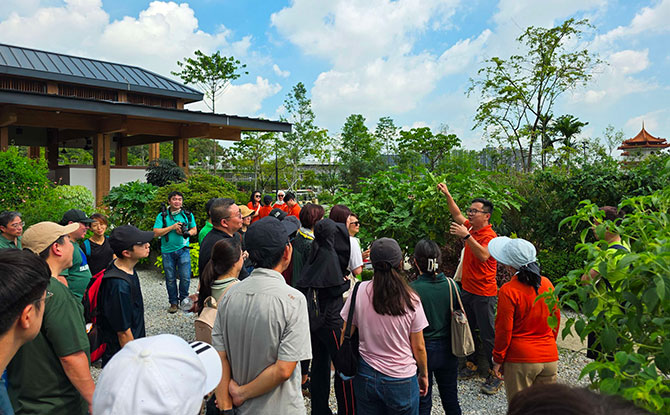 Chinese Garden Lunar New Year 2026: Lanterns & Light Show By Jurong Lake 3 Guided Tours