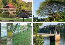MacRitchie Reservoir Guide: Park, Trails, 15 Things To Do & More MacRitchie Reservoir Guide: Park, Trails, Things To Do & More