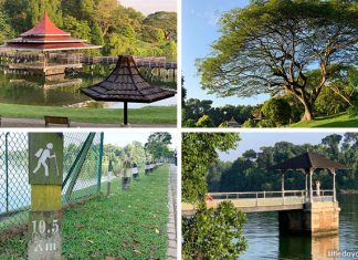 MacRitchie Reservoir Guide: Park, Trails, 15 Things To Do & More MacRitchie Reservoir Guide: Park, Trails, Things To Do & More