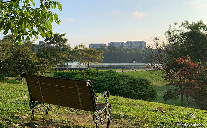 View from the hilltop at MacRitchie Reservoir Park