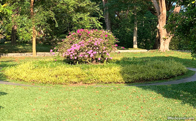 Floral Clock