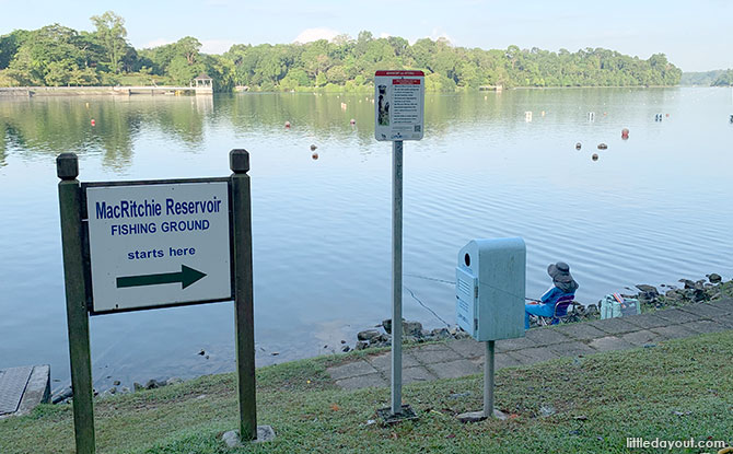 25 Best Free Things To Do In Singapore With Kids 9 MacRitchie Reservoir Fishing Grounds