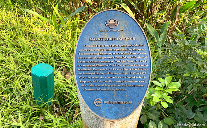 MacRitchie Reservoir, the Park and the Central Catchment Area