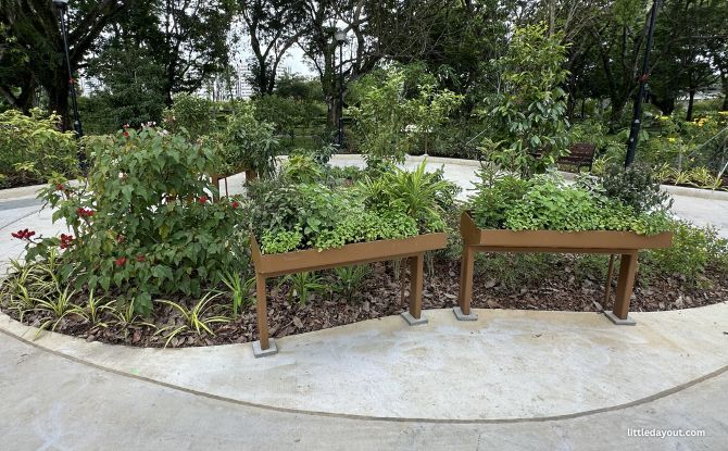 Magical Bridge Playground: Inclusive Play Inspired By Seed Dispersal At Sun Plaza Park 7 Animal Dispersal Zone